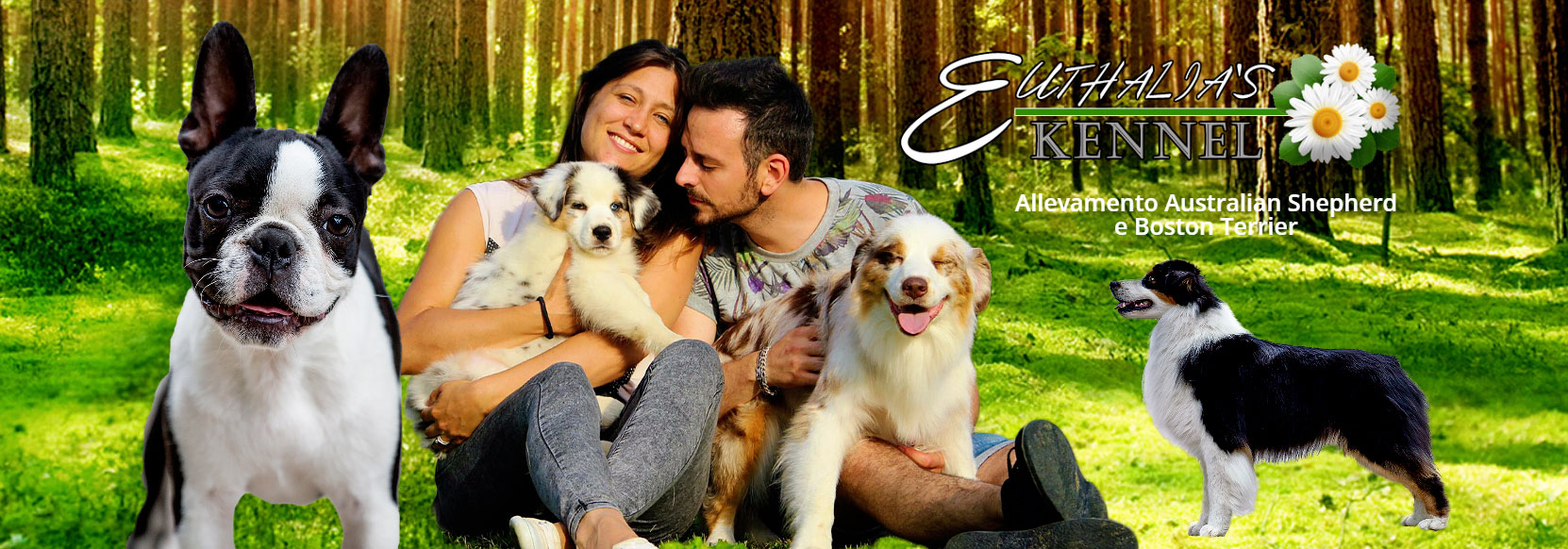 http://www.allevamentoaustralianshepherd.net/